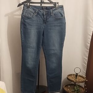 Earl Jeans Women's Blue Skinny Jeans